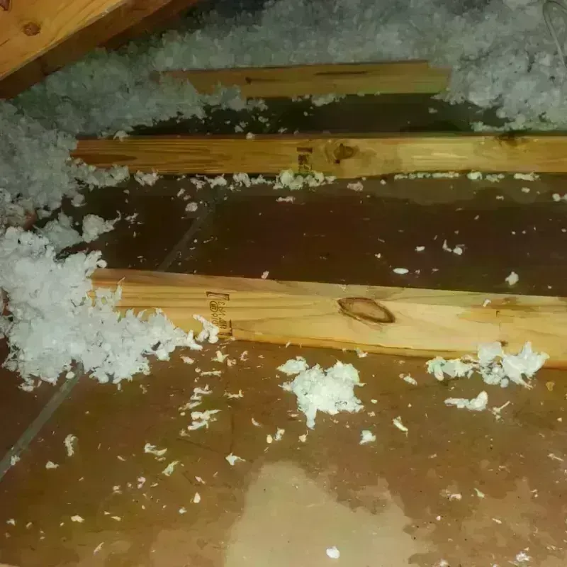 Attic Water Damage in Liberal, KS