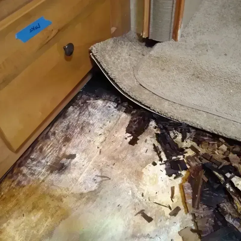 Wood Floor Water Damage in Liberal, KS